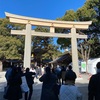 【東京 神社さんぽ】明治神宮 森林浴と野鳥の森