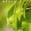 抜け毛・細毛が気になり始めたらまず試したい3つのこと
