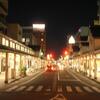 新潟／上越②　高田城址公園の蓮畑をゆく！