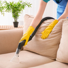 Astonishing Facts about What’s Lurking on Your Dirty Furniture