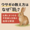 ウサギの数え方はなぜ「羽」？仏教にまつわる不思議な言葉の由来を解説