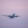成田空港定点観測　2025-6-8 夕方～夜