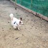 オペ。