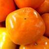 これからが旬の柿は、固くても熟しかけていても美味しい果物です。