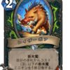 Hearthstone 荒ぶる大地の強者たち　事前カード評価