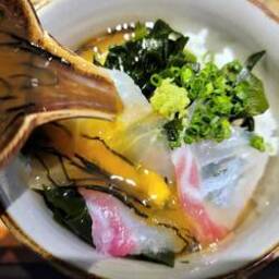 旬彩 鯛樹