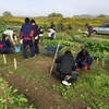 収穫祭に向けて☆