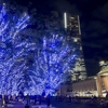 Holiday season is coming！/ Art&Architecture＃500