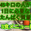 45キロの人が1日に必要なたんぱく質量