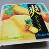 ロッテ「爽　パイン果肉入り」を食べてみました