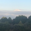今朝の景色