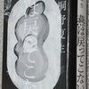 桐野「燕は戻ってこない」読了