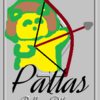 射手座「５ハウス」小惑星パラス　Pallas