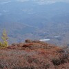 赤薙山から小丸山経由霧降高原への下山(霧降高原4)