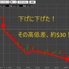 【絶対に】急落してもロスカットさせない方法-トライオートETF【負けない運用】