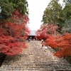 秘密の紅葉スポット⑥神護寺の美しい秋景色✨