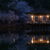 夜明けの浮御堂と桜