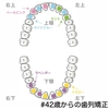 【調整28回目】「噛み合う」ってなんですか？