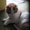 影響はやっぱりあるんでしょうか？