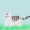 まだ見ぬノラ猫