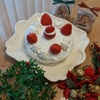 素朴なクリスマスケーキ