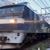 1095レ 鹿島貨物(EF210-104) 【スマホ動画】