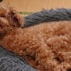 雨音を聞きながら