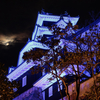 夜の岡山城＠岡山
