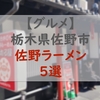 佐野市内のおいしい佐野ラーメン５選（晴れる屋のレポートあり）