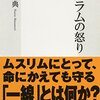 「イスラムの怒り」（内藤正典）はわかりやすく面白い