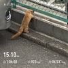 サクッと中強度走