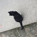 aoの休日