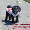 蒸し暑くなったら
