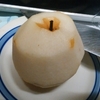 最後の梨をいただいた！