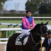 【カメラ撮影】京都競馬場へ行ってきました