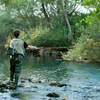 Truckee river fly fishing