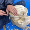 獅子頭制作10日目
