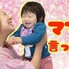 11月8日の動画