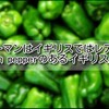 【イギリス ピーマン】ピーマンはイギリスではレア？Green pepperのあるイギリス生活。