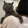 梅雨空を切り裂け！！！”G”VS”猫”