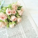 weddingblog