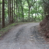 大金田林道・七ツ滝柳沢林道（撤退）