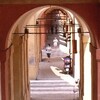 　Bologna, Basilica di S.Lucaまで歩く