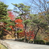 好天の千秋公園へ