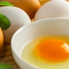 卵は超良質タンパク質。でも、生卵にはご用心！怖いぞビオチン不足！！