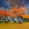 今年の収入