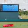 高円宮賜杯