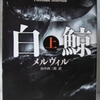 ハーマン・メルヴィル「白鯨　上」（新潮文庫）-2　裏返しにされた「ヨナ書」。認識不可能な存在と直接コミュニケートしたいエイハブの狂気。