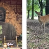 第361回「心に咲く花会」 夢・ビジョンを植える ～ 先人をたどる ～