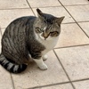 春が来ました